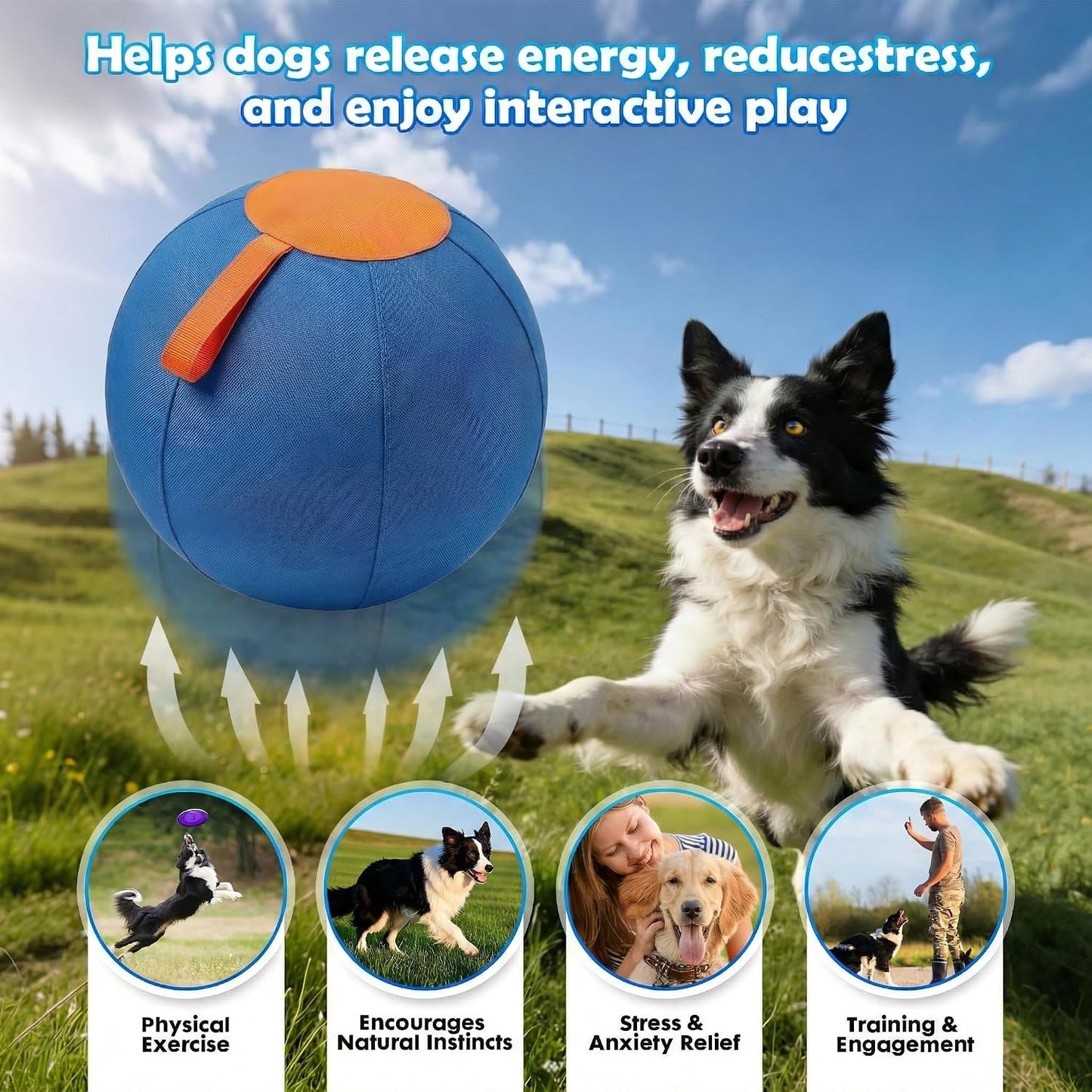Portable 22-Inch Herding Ball for Dogs Australian Shepherds, Dog Herding Ball Outdoor Training Set for Working Animals with Durable Oxford Fabric Cover, Air Pump, Storage Bag & Gift Box Included