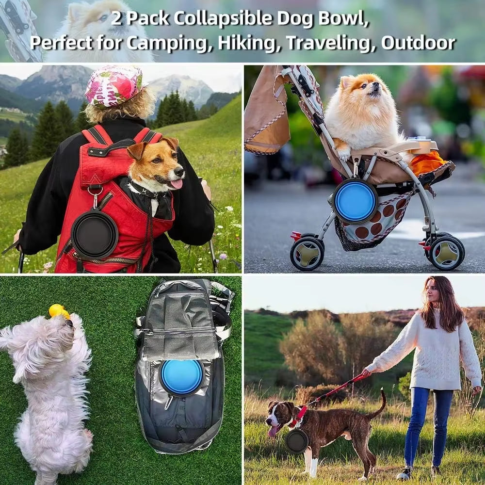 Wellfine Water Proof Silicone Collapsible Dog Bowl Plastic Pet Feeder for Cat Food Foldable Travel Cat Bowl