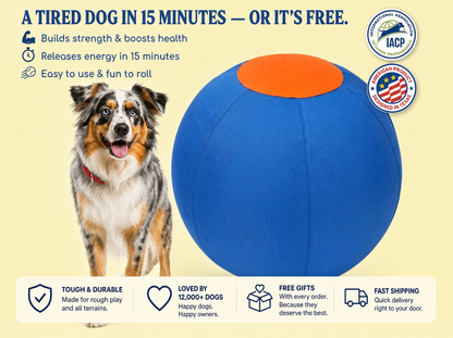 Happy Herd™ Herding & Interactive Ball for Dogs